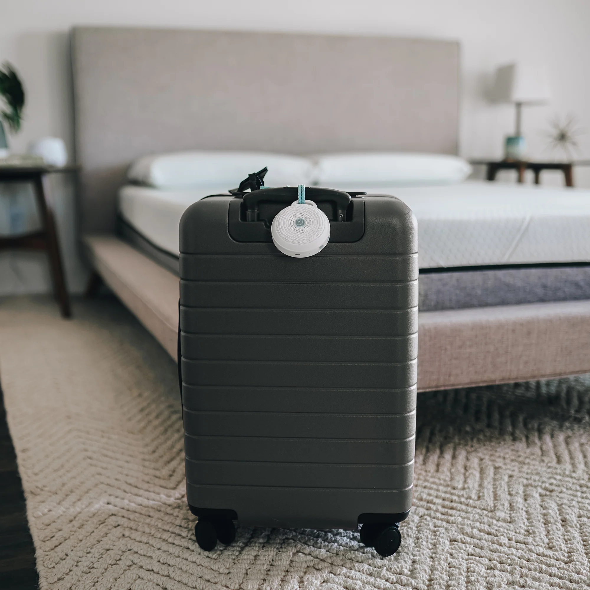 Rohm + Travel Case Bundle - Image 3